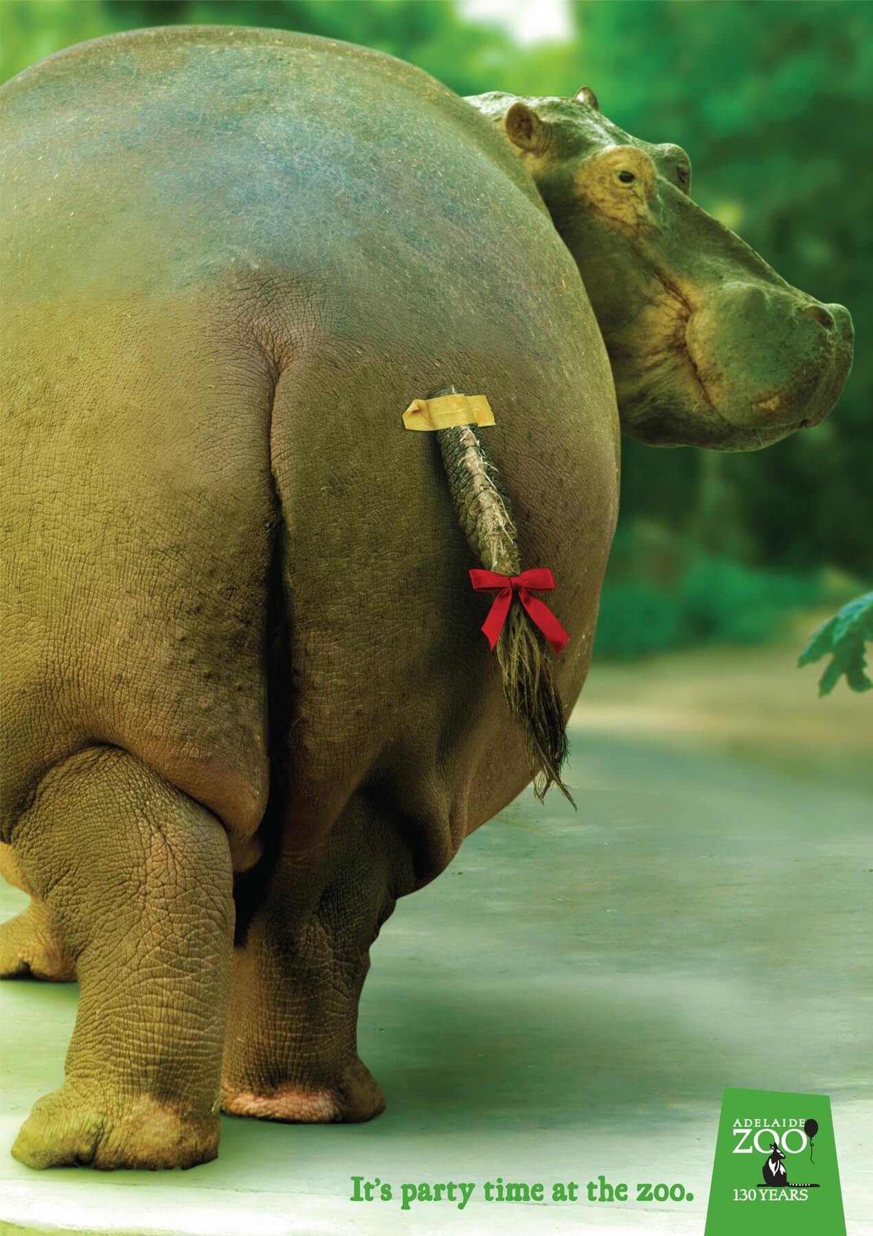 #CuandoLaPublicidad ¡Le pone la cola al hipopótamo!