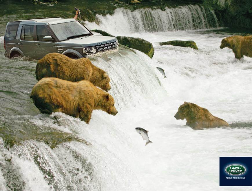 #CuandoLaPublicidad: Te convierte en oso grizzly.
